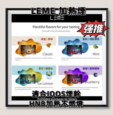 LEME 樂美加熱煙