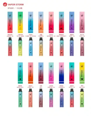 VAPOR STORM風暴5000口抛棄式電子烟
