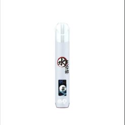 evo主機一代