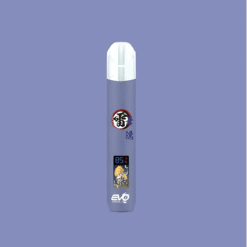 evo主機紫色