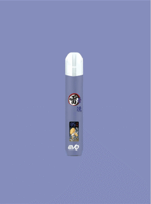 evo主機